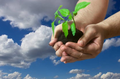 Need a fresh approach with your Randburg property sale