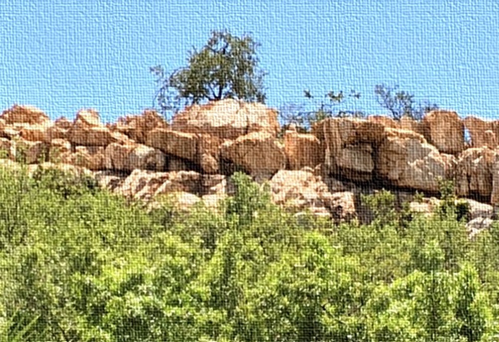 boskruin property values for 2025. Net more when you sell with Cornerstone Homes